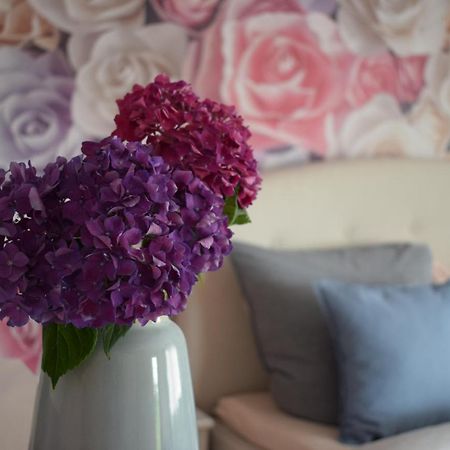 Apartment Rose Sasbachwalden Extérieur photo