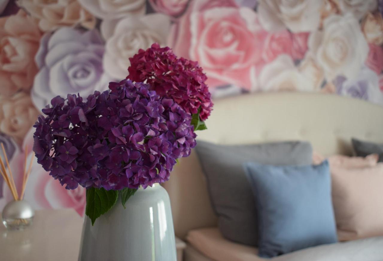 Apartment Rose Sasbachwalden Extérieur photo